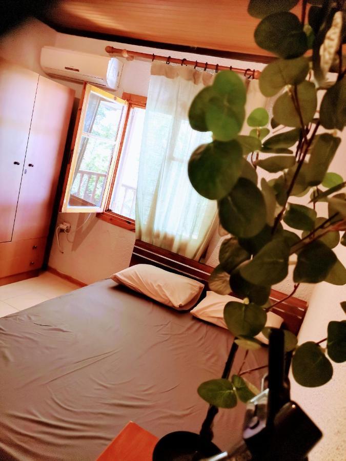 Green Vila 索佐波尔 外观 照片